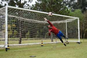 Copa Paulista: Thomazella é dúvida na Portuguesa contra Santista