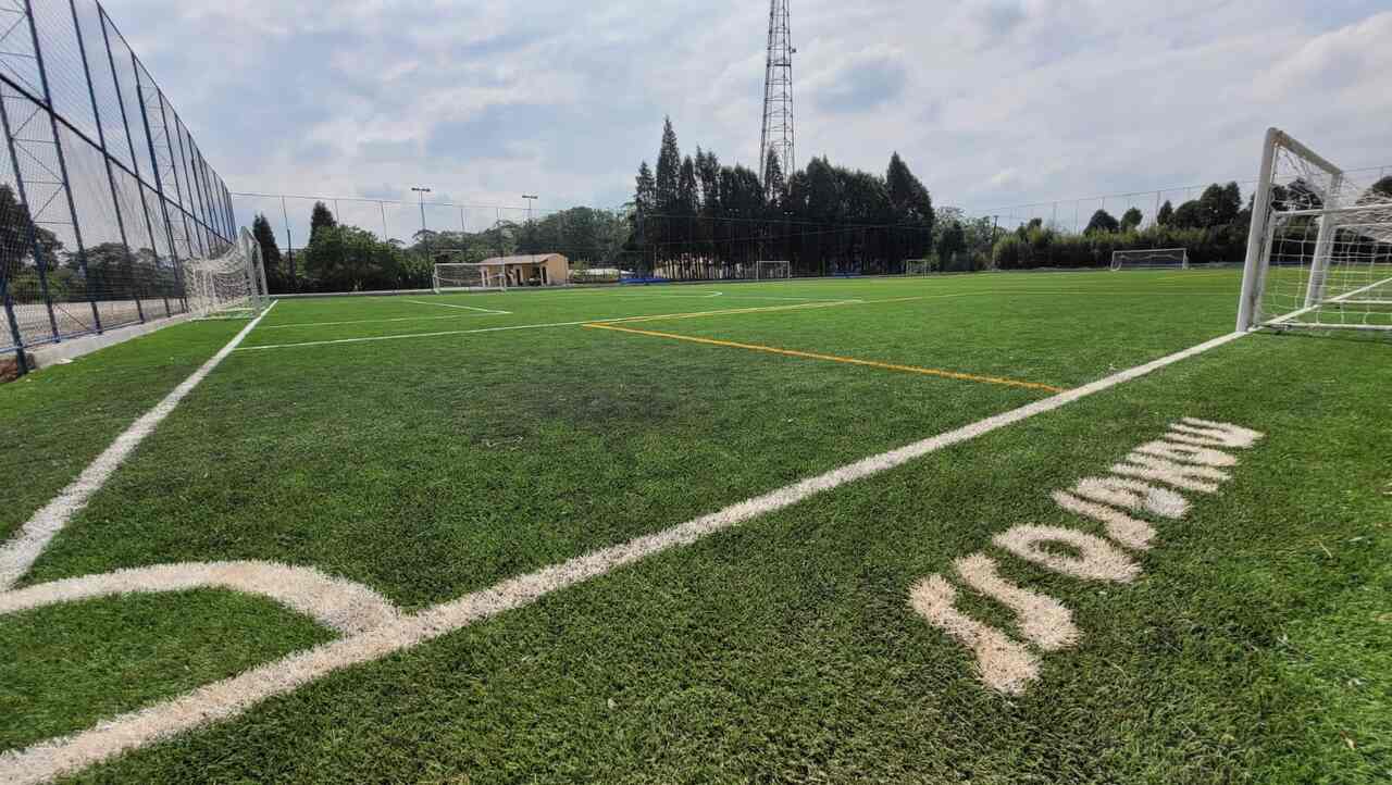 Ska Brasil