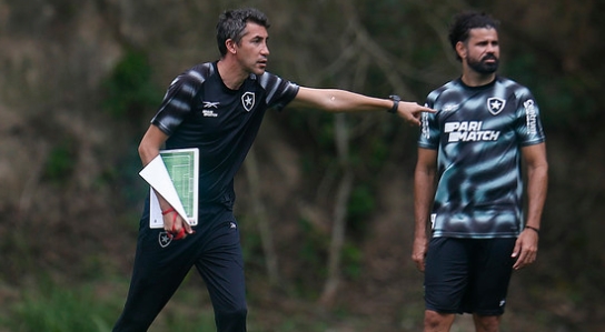 Botafogo lidera o Brasileiro com 11 pontos de vantagem