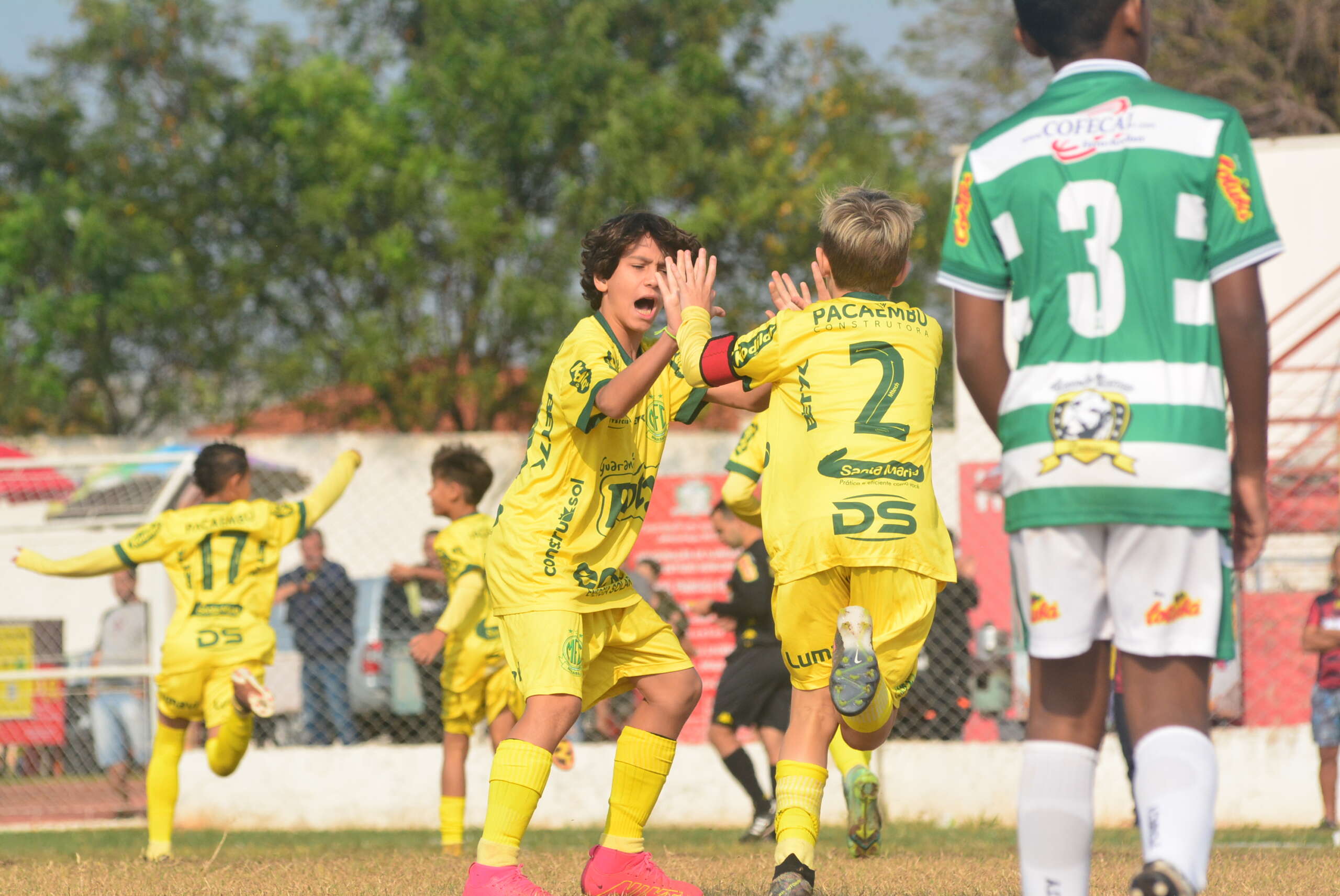 Sub-15 e Sub-17 do Verdão encaram Ponte Preta e Grêmio Prudente pelo  Paulista – Palmeiras