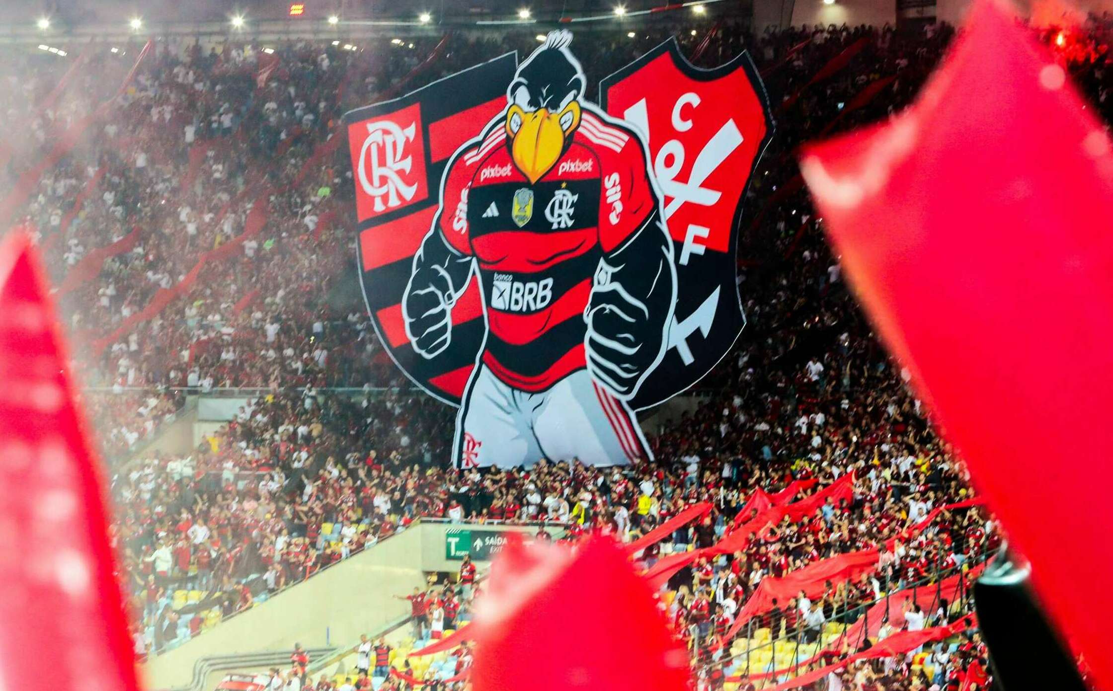 Flamengo tem a melhor média de público do Brasileirão (Foto Marcelo Cortes / CRF)