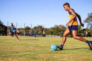 Londrina-PR x Chapecoense-SC - Chape precisa da vitória para deixar a zona de rebaixamento