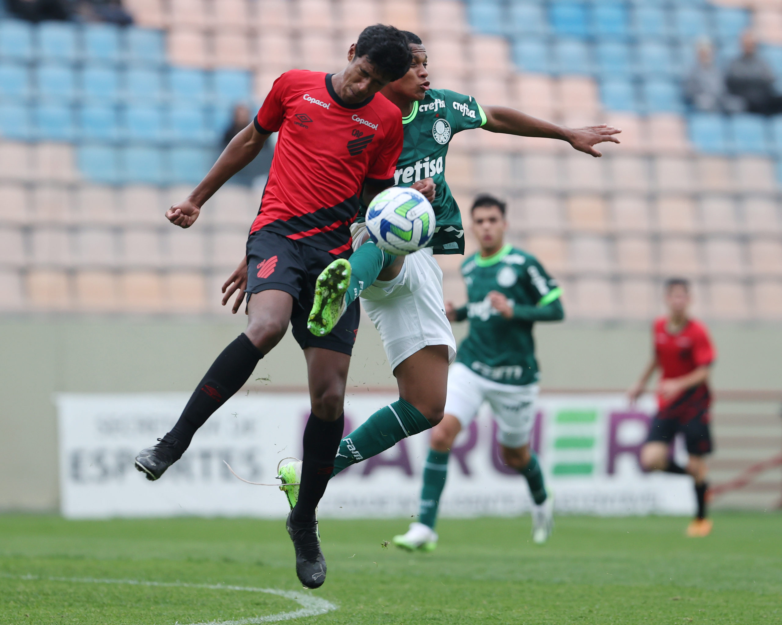 Palmeiras