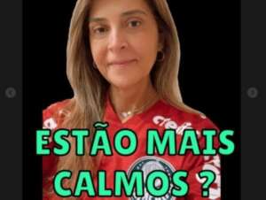 Leila Pereira publica figurinha e torcedores apontam deboche