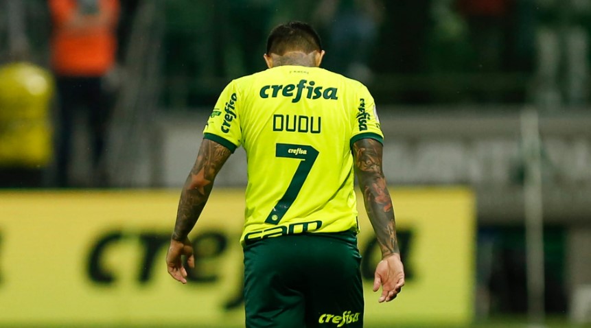 dudu palmeiras