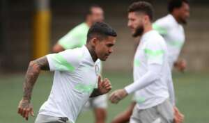 De olho no tetra, Palmeiras enfrenta o surpreendente Deportivo Pereira na Libertadores