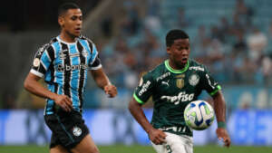 Novo ângulo de possível pênalti para o Palmeiras contra o Grêmio causa alvoroço nas redes; veja