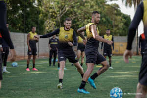 Novorizontino x ABC - Tigre encara lanterna buscando se estabelecer no G4