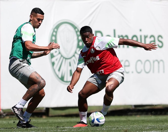 Palmeiras treino