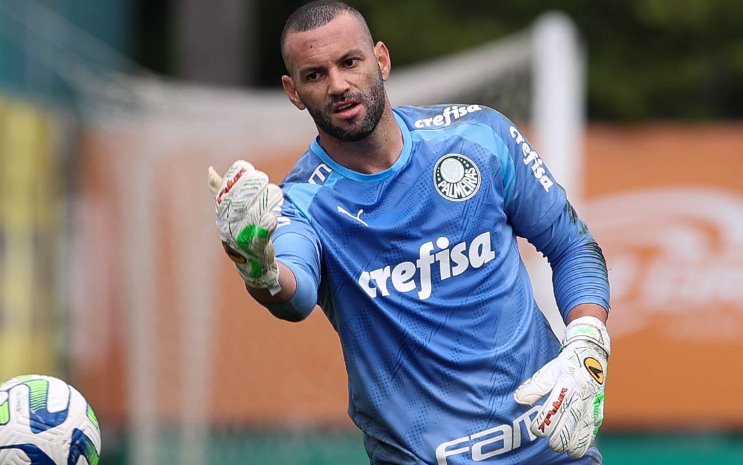 Palmeiras defende invencibilidade contra o Grêmio e quer reduzir