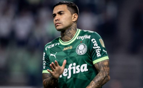 dudu palmeiras