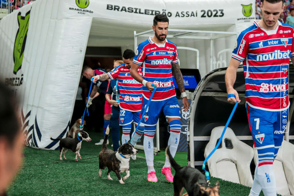 Fortaleza entra em campo com cães resgatados por ONG de proteção animal