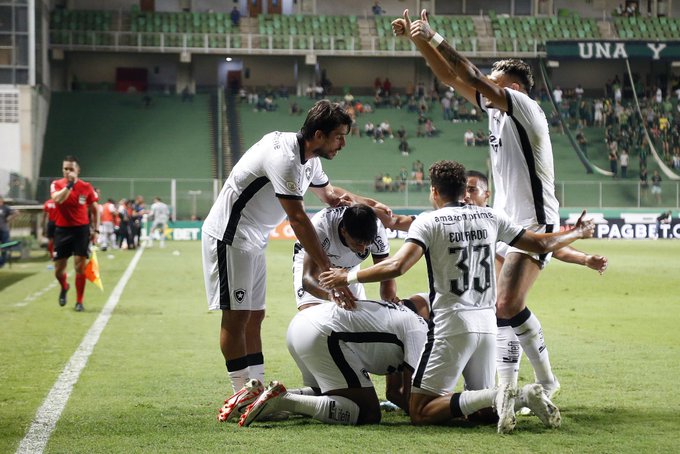 Botafogo Brasileirão
