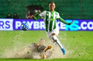 Haja coração, torcedor bugrino, nesta reta de chegada da Série B!