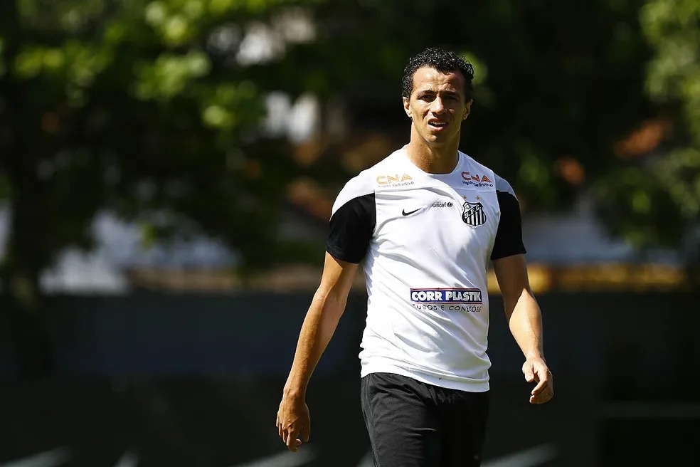 Leandro Damião não conseguiu se firmar com a camisa do Santos (Foto: Ricardo Saibun / Divulgação Santos FC)