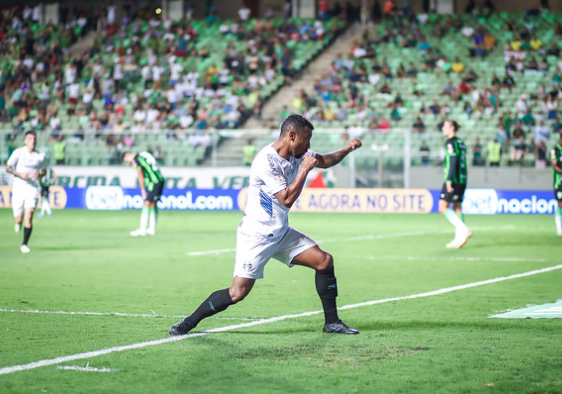 Palmeiras brasileirão