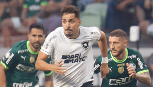 Botafogo x Palmeiras - Verdão pode 