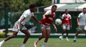 Palmeiras inicia preparação para jogo contra líder Botafogo