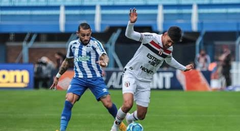 Botafogo-SP encara Avaí pela Série B (Foto: Leo Piva e Fabiano Rateke/Agência Botafogo)