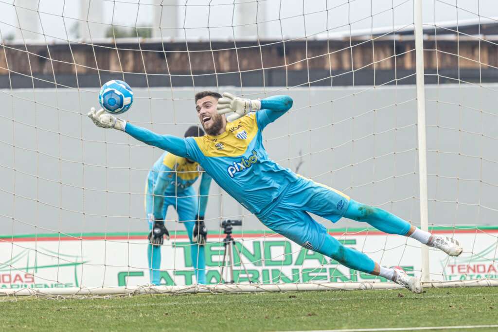 Série B: Embalado, Avaí está pronto para acabar matematicamente com o risco de rebaixamento