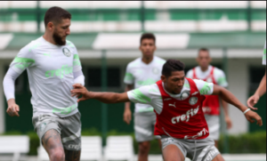 Palmeiras testa processo de hidratação em jogadores para enfrentar o forte calor