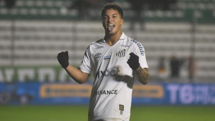 Santos Brasileirão