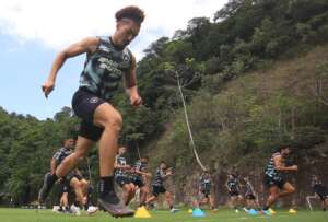 Botafogo x Grêmio - Mais um teste de fogo na briga pelo título