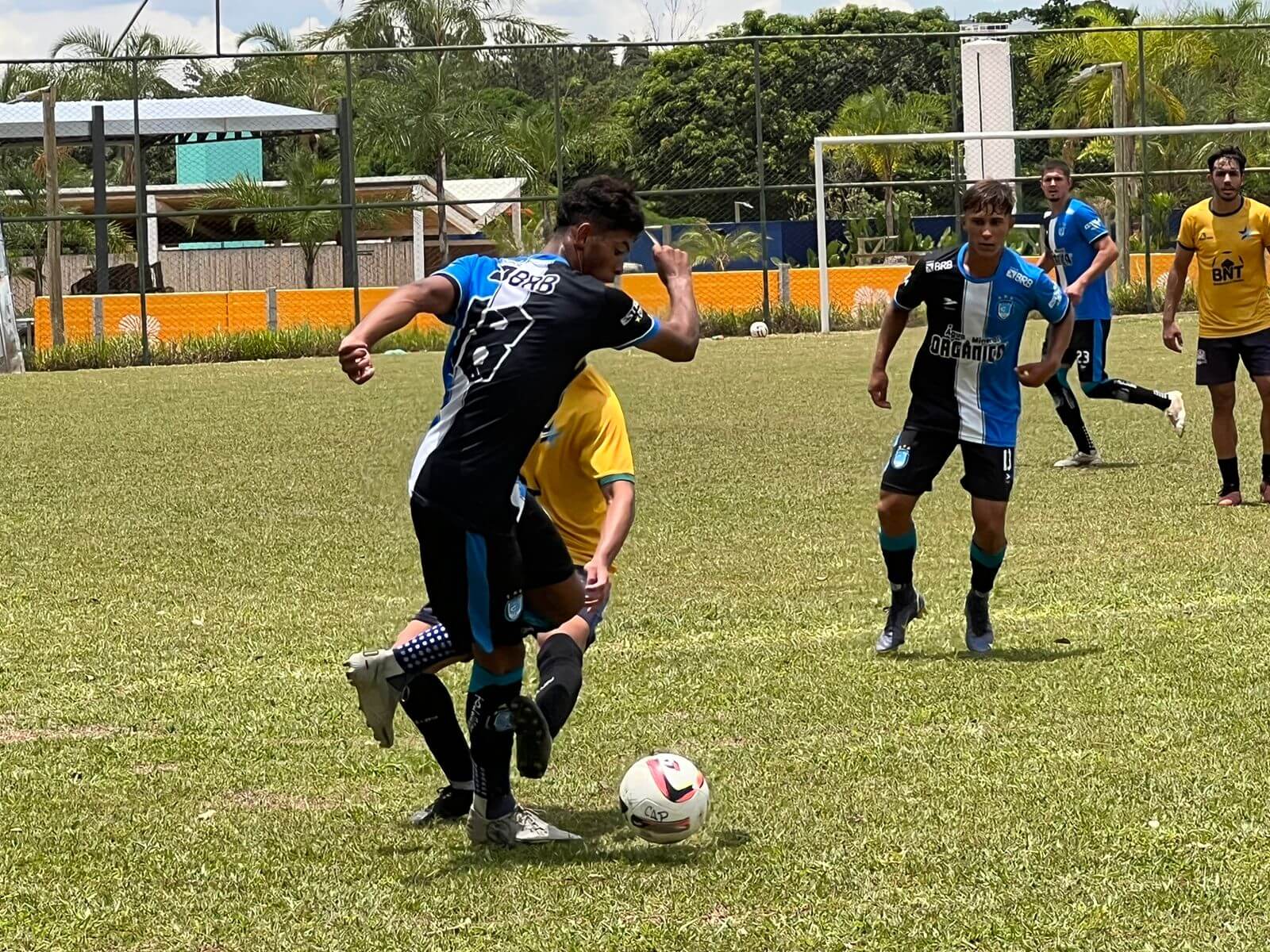 Campeonato Paulista chega a sua 54ª final; conheça a história das