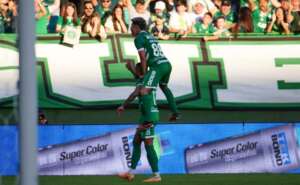 Torcidas de Chapecoense e Vitória comemoram juntas após o jogo na Série B