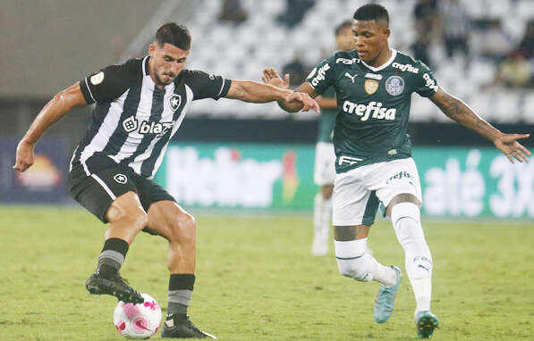 Virada do Palmeiras sobre Botafogo deixa em aberto disputa pelo título do  Brasileirão - ICL Notícias