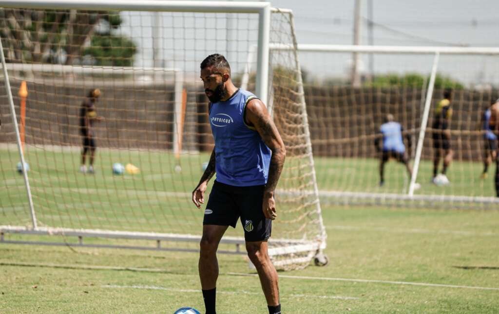 Paulistas ainda enfrentam Londrina e Paraná em busca da elite do futebol nacional (Foto: Gustavo Ribeiro/Novorizontino)