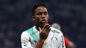 BRASILEIRÃO: Palmeiras é dodecampeão e Santos acaba rebaixado!