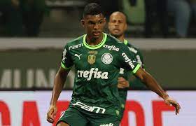 Luis Guilherme Palmeiras