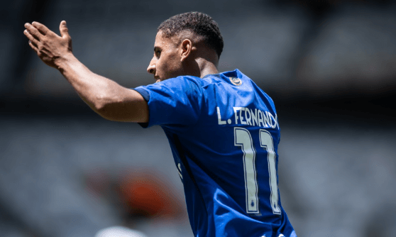 luis fernando cruzeiro grêmio copa do brasil sub-20 base