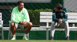 Auxiliar do Palmeiras revela estratégia de Abel contra Botafogo para conquistar título