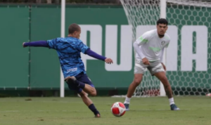 Paulista A3: Após derrota, técnico do São Caetano elogia time contra Palmeiras