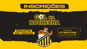 Paulistão: Novorizontino promove 'Desafio do Tigrão' - Gol na Bochecha