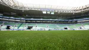 Paulistão: Por que o gramado do estádio do Palmeiras está ruim? Empresa identifica problemas no campo