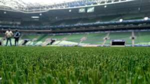 Palmeiras desfaz contrato com empresa que instalou gramado sintético no Allianz Parque