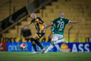 PAULISTÃO: Vitória do Novorizontino sobre o Guarani e tropeço do Palmeiras fecham 7ª rodada