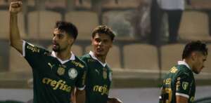 Blog do Ari - Quem pegar o Palmeiras vai ter receita alta