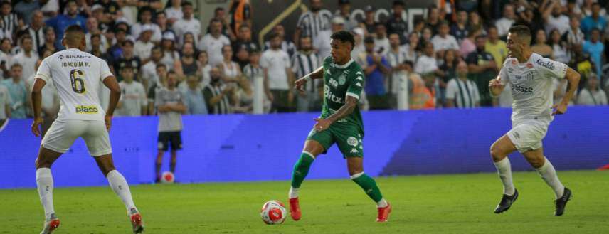 Blog do Ari - Santos é melhor que o Guarani; e seu treinador pensa o jogo 2 Paulistão - Santos 2 x 0 Guarani