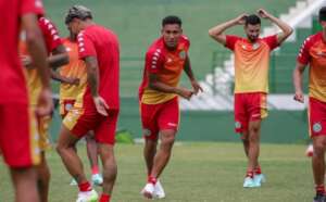 Santos x Guarani - Bugre busca reabilitação contra o 