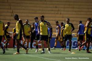 Paulistão: Novorizontino encara Guarani tentando assumir 2ª posição no Grupo D