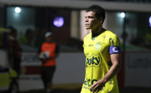 Palmeiras x Mirassol em 2013: 6 jogadores continuam em atividade e um dá aulas de futebol