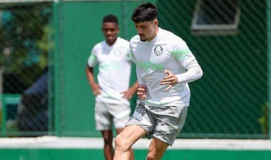 Piquerez Palmeiras