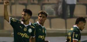 Palmeirenses já compraram perto de 14 mil ingressos