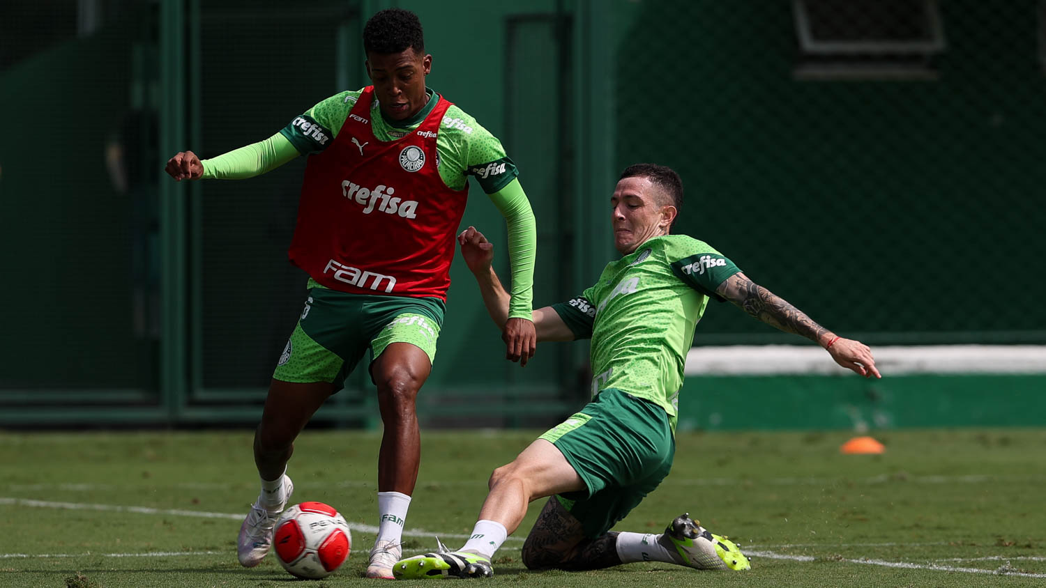 Palmeiras x Novorizontino: onde assistir, escalações e arbitragem!