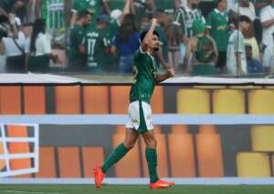 Palmeiras 5 x 1 Ponte Preta - Verdão atropela Macaca, mantém invencibilidade e vai à semi