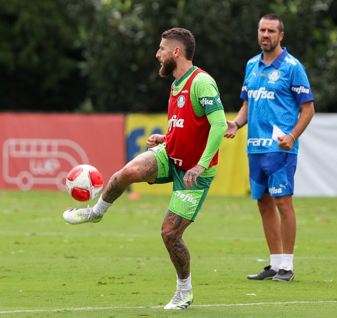 Palmeiras treino